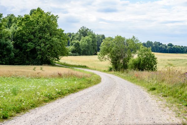 Cost of Stone Driveway Repair in Sanford