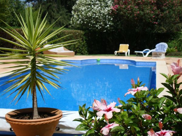 Cost of Pool Terrace Renovation in Sanford